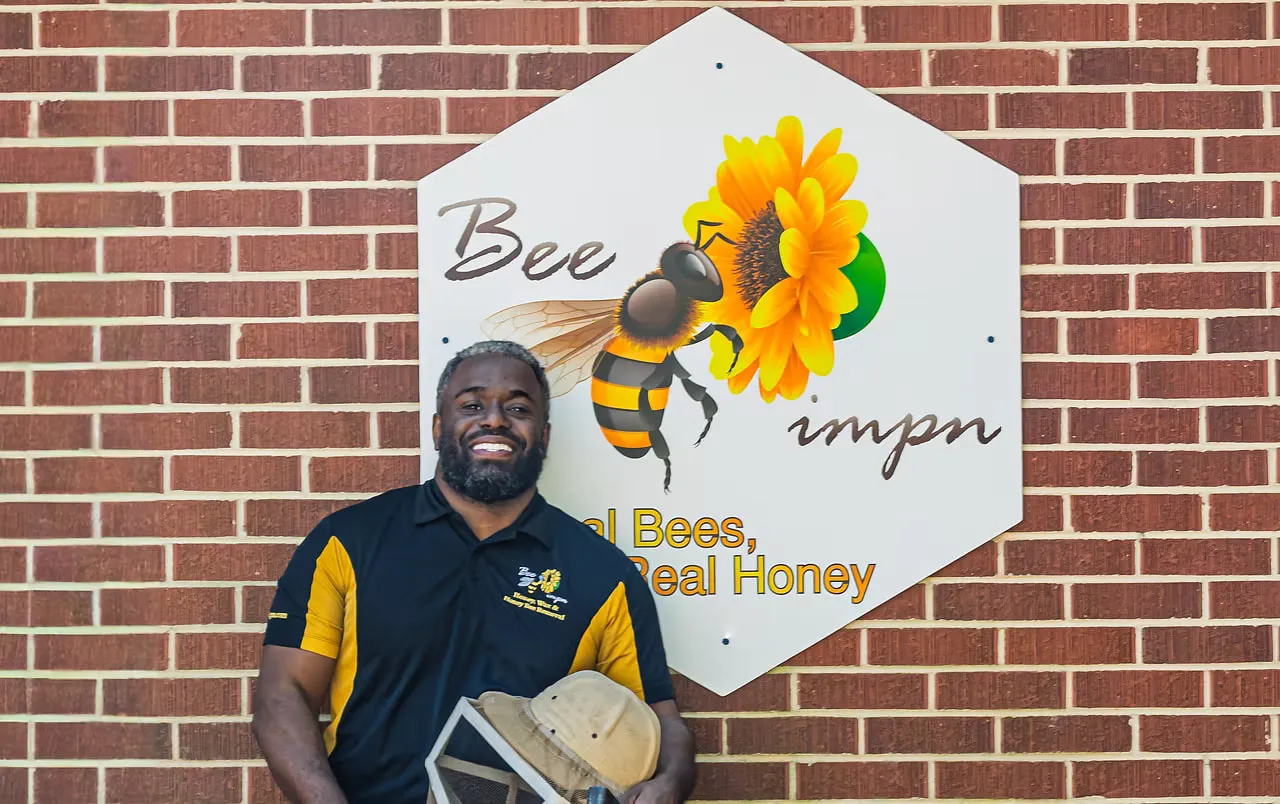 Bee Pimpn — live honey bee removal, honey, wax, and pollination services